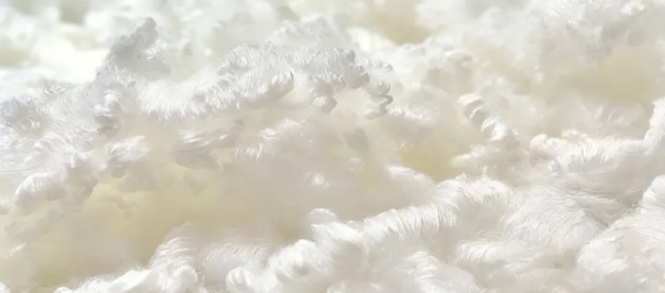 Este poliesterul o fibră sintetică? (2)