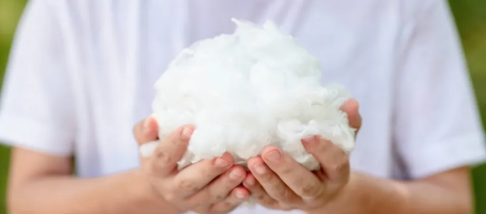 Ce este fibra de bază din poliester fine denier?