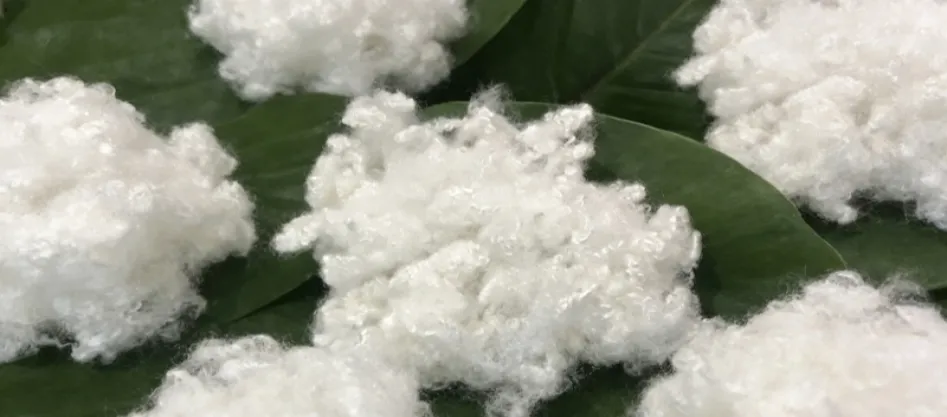 Este poliesterul o fibră sintetică? Ceva ce trebuie să știi