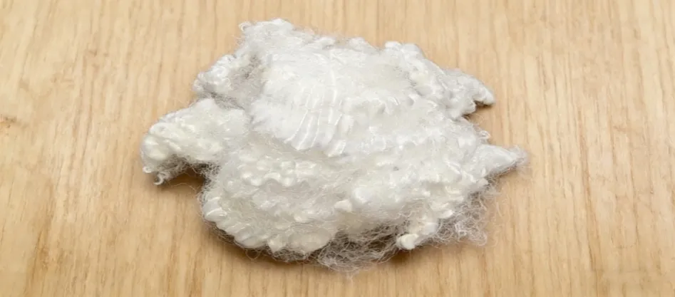 Ce este fibra conjugată virgină?